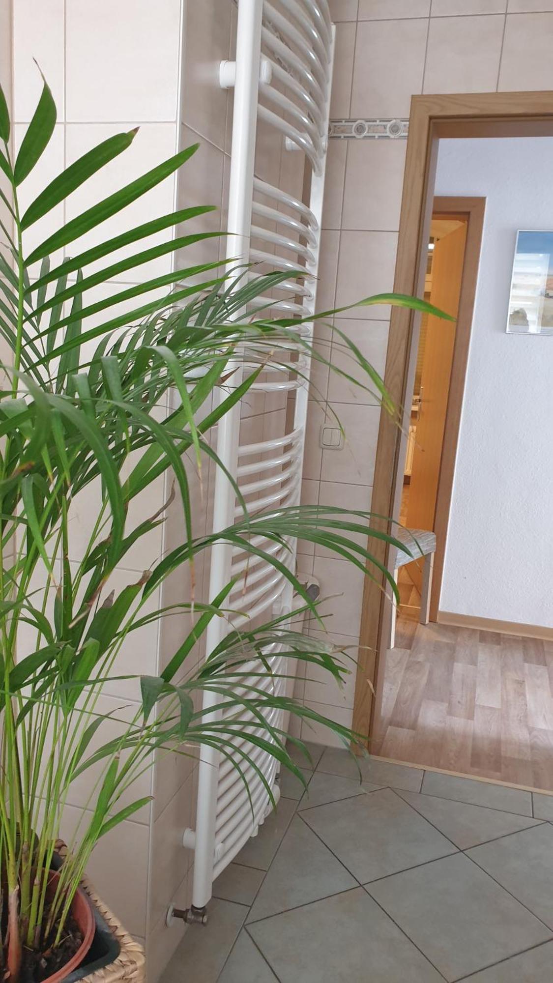 Ferienwohnung Sonnenschein Familie Hamdorf Бад Зулца Екстериор снимка