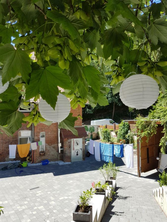 Ferienwohnung Sonnenschein Familie Hamdorf Бад Зулца Екстериор снимка